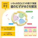 EDISON 多樣感知變形牙膠