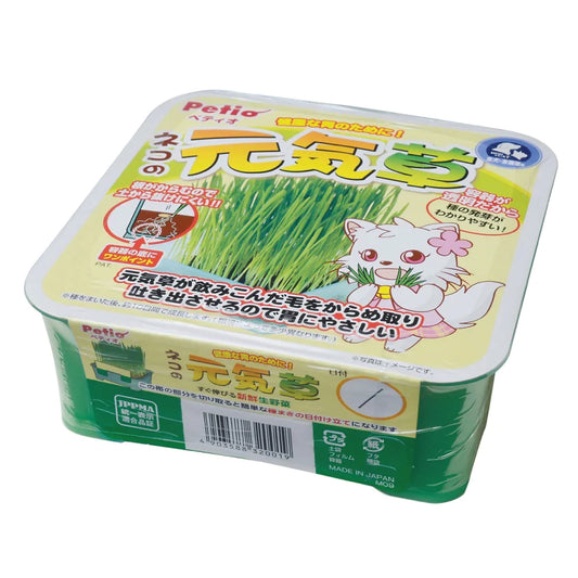 PETIO – 貓咪之元氣草 DIY自家種貓草套裝